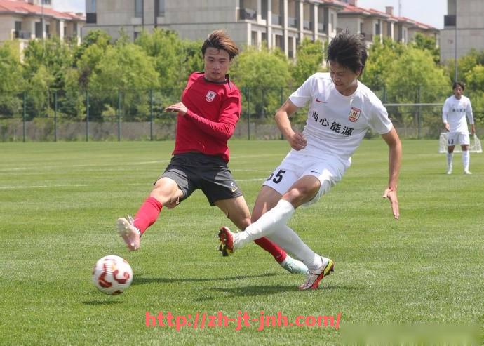 金年会体育-法甲球队球迷忠诚度调研:影响因素与维系策略分析